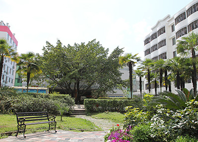 重庆南丁卫生职业学校 重庆南丁卫生职业学校