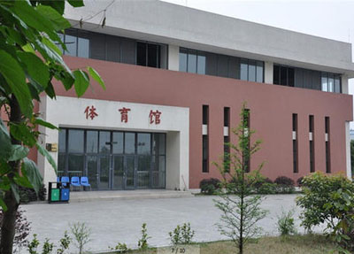 重庆舞蹈学校 重庆舞蹈学校