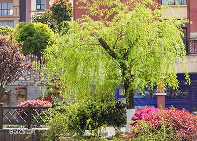 自贡市旅游职业高级中学 自贡市旅游职业高级中学