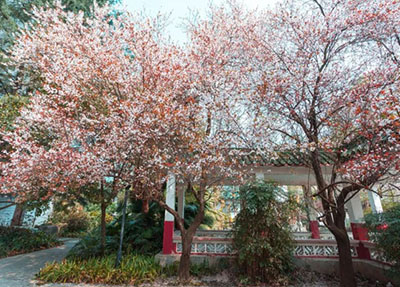 重庆轻工职业学院 重庆轻工职业学院