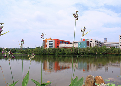 重庆工商职业学院 重庆工商职业学院