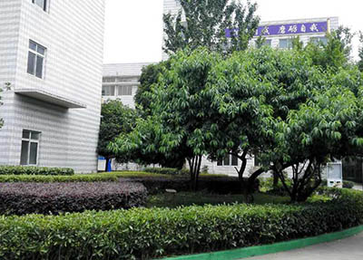 重庆市行知职业技术学校