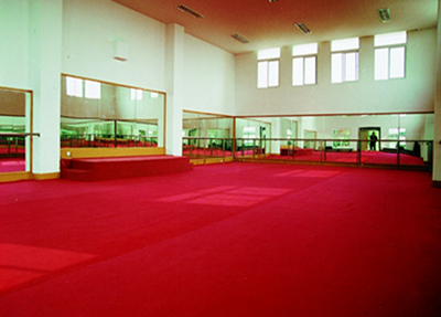 重庆电讯职业学院 重庆电讯职业学院