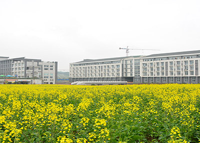 重庆商务职业学院 重庆商务职业学院