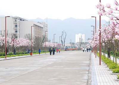 重庆幼儿师范高等专科学校 重庆幼儿师范高等专科学校
