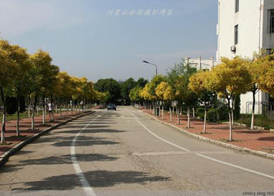 四川应用职业技术学院 四川应用职业技术学院