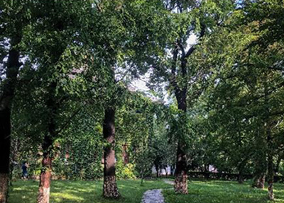 绵阳市艺术学校 绵阳市艺术学校