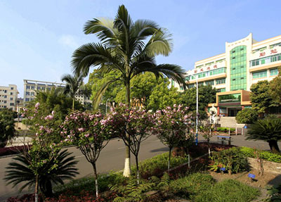 重庆幼儿师范高等专科学校 重庆幼儿师范高等专科学校