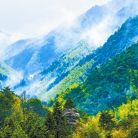 森林资源保护专业