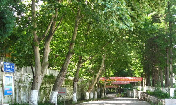 贵州省人民医院护士学校绿色校园
