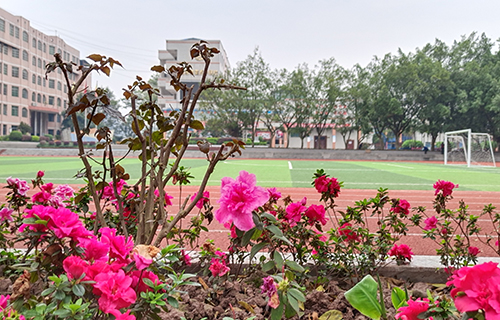 山东巨野县技工学校