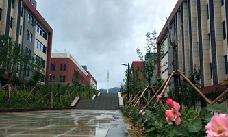 平顶山市中医药学校