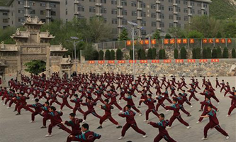 登封少林永智传统文武学校