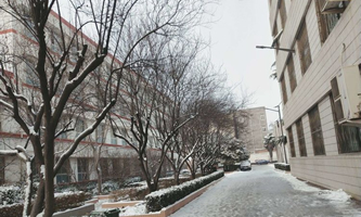 平顶山外国语学校