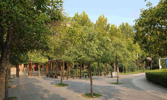 延津县职业中等专业学校
