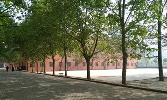 郑州树青医学中等专业学校