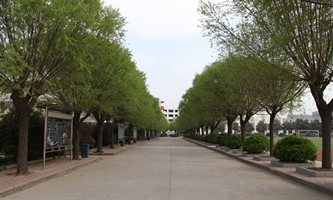 漯河市第一中等专业学校