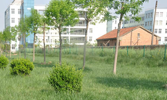 周口幼儿师范学校