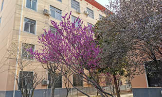 郑州市国防科技学校