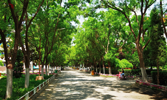 郑州轻工业学校
