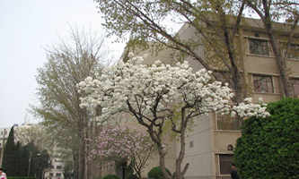 河南省工业学校