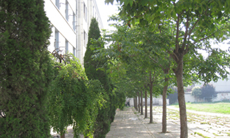 河南省驻马店财经学校