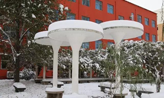 郑州树青医学中等专业学校