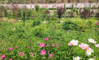 洛阳市中医药学校
