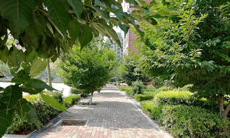 三门峡市陕州区中等专业学校