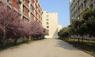 商丘幼儿师范学校