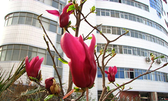 河南省工业学校