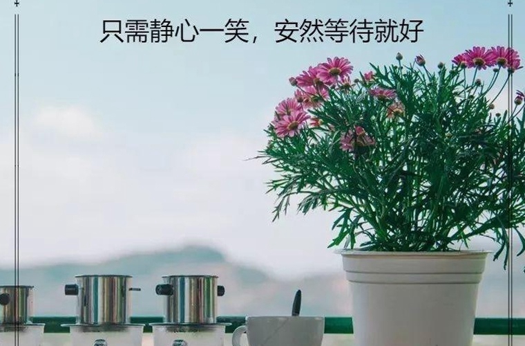 罗山中等职业学校在信阳哪里 学校怎么样