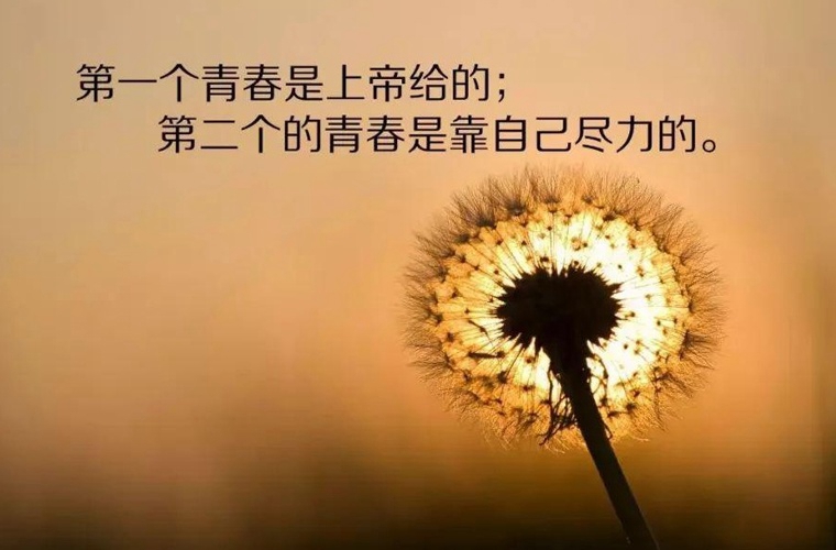 2025新疆工业经济学校多少钱(学费明细)