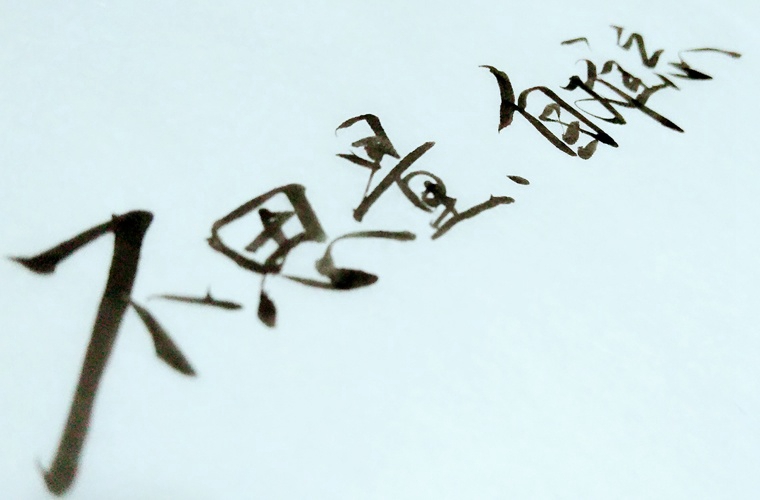阜阳现代职业教育学校地址在哪里 好不好