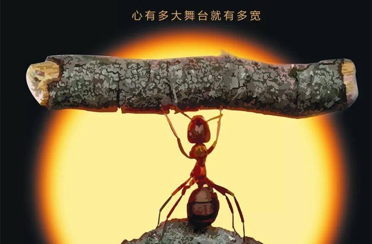 宜城职业高级中学2025年招生条件是什么