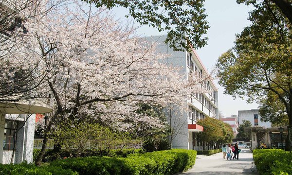 宁夏2024年中专学校哪个专业最好