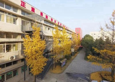 南阳文化艺术学校2024年学费多少钱一年