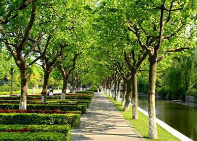 合肥通用技术学校2024年学费多少