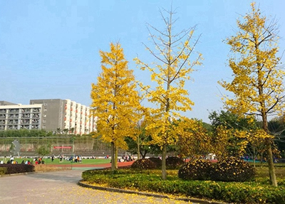 桐乡卫生学校2024年招生计划