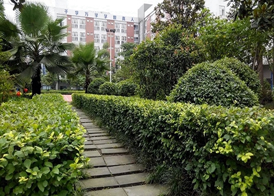 玉环中等职业技术学校地址在哪里