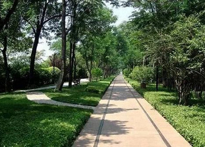 黄冈劳动技工学校2025年报名条件是什么