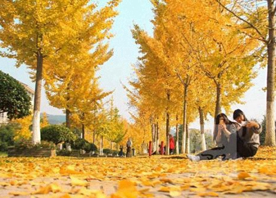 新疆石河子卫生学校2024年报名学费多少钱