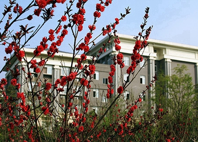 2023贵阳卫生学校有哪些